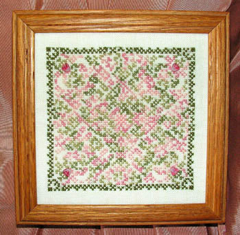 Morning Walk - Cross-Point Designs