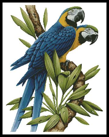 Majestic Macaws - Artecy Cross Stitch