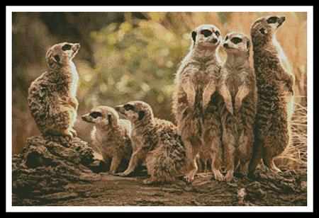 Meerkat Family - Artecy Cross Stitch