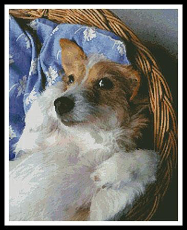 Dog In Basket - Artecy Cross Stitch