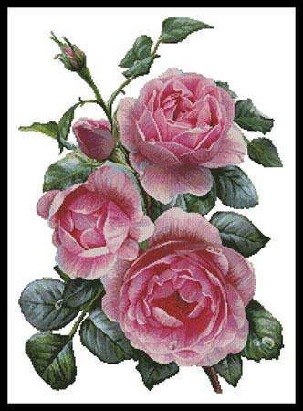 Pretty Pink Roses - Artecy Cross Stitch