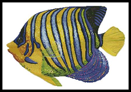 Blue And Yellow Fish - Artecy Cross Stitch