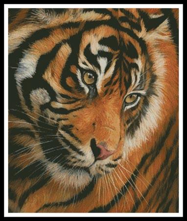 Tiger Face Portrait - Artecy Cross Stitch
