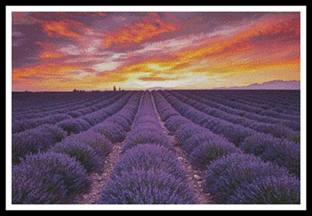 Field Of Lavender At Sunrise - Artecy Cross Stitch