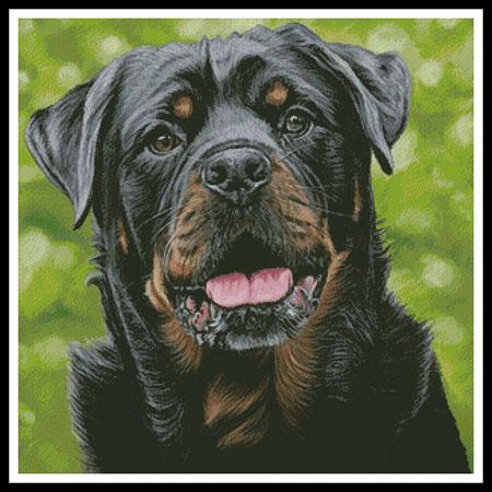 George - Artecy Cross Stitch