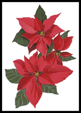 Poinsettia Flowers - Artecy Cross Stitch