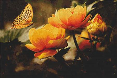 Flowers And A Butterfly - X Squared Cross Stitch