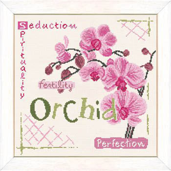 Orchid - Lilipoints