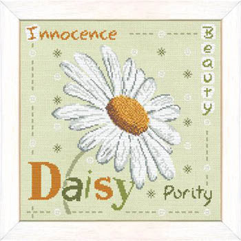 Daisy - Lilipoints