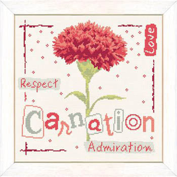 Carnation - Lilipoints