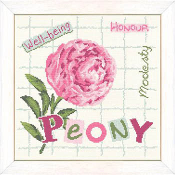 Peony - Lilipoints