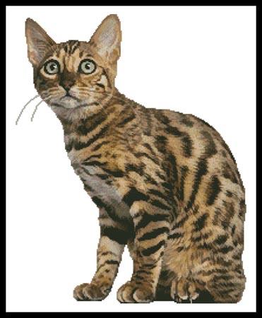 Bengal Cat - Artecy Cross Stitch