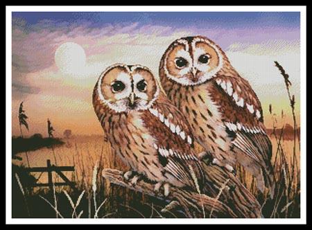 Tawny Owls - Artecy Cross Stitch
