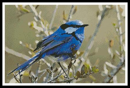 Male Splendid Fairy Wren 3 - Artecy Cross Stitch