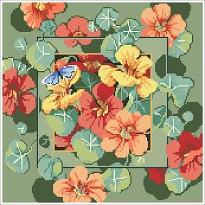 Nasturtiums - Kooler Design Studio