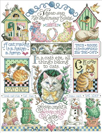 No Ordinary Cats - Kooler Design Studio