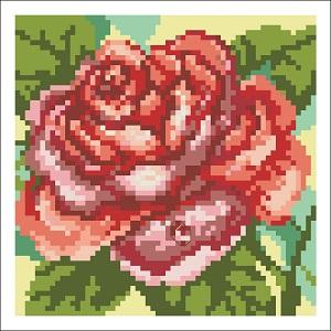 Rose - Kooler Design Studio