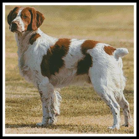 Brittany Spaniel - Artecy Cross Stitch