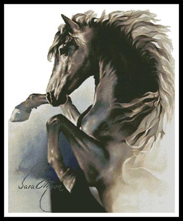 Black Fury - Artecy Cross Stitch