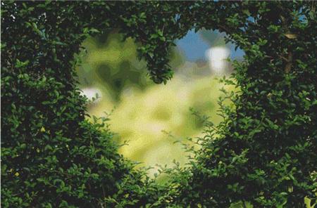 Hedge Heart - X Squared Cross Stitch