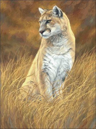 Mountain Lion - Charting Creations