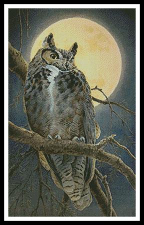 Close Encounter - Artecy Cross Stitch