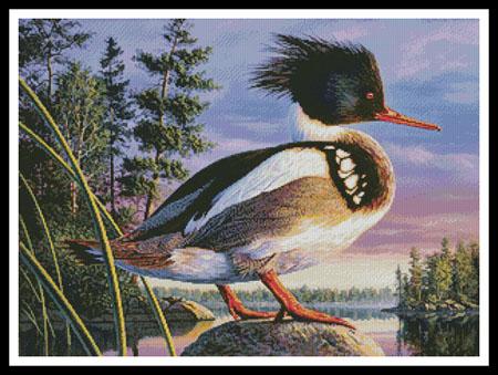 Red-Breasted Merganser - Artecy Cross Stitch