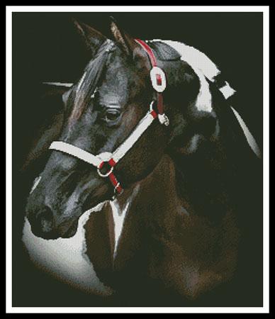 Beauty In The Shadows - Artecy Cross Stitch