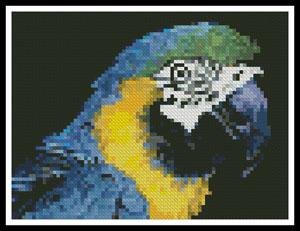 Mini Blue And Yellow Macaw - Artecy Cross Stitch