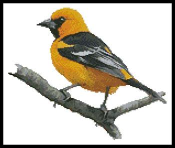 Oriole - Artecy Cross Stitch