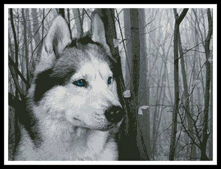 Siberian Husky In The Woods - Artecy Cross Stitch