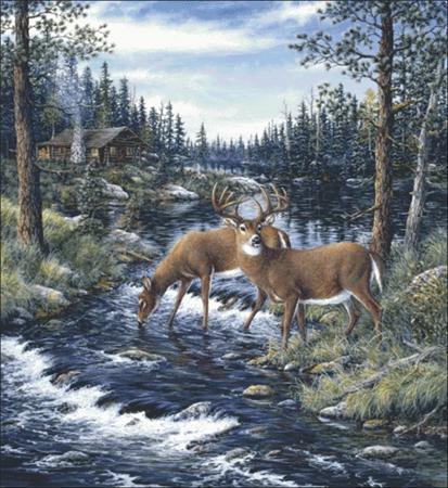 Peaceful Morning - Charting Creations