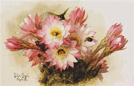 Cactus Blossoms - X Squared Cross Stitch