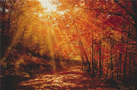 Red Forest - X Squared Cross Stitch