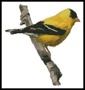 American Gold Finch - Artecy Cross Stitch