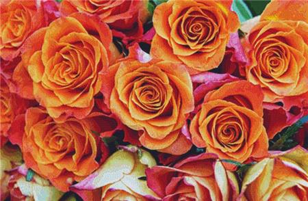 Roses - X Squared Cross Stitch