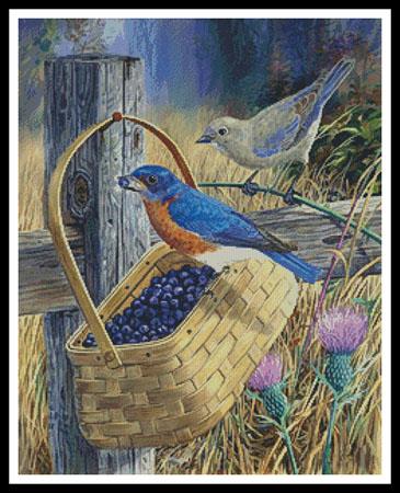 Blue Bandit - Artecy Cross Stitch