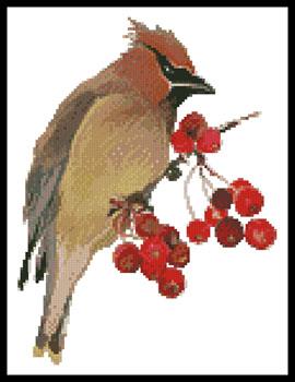 Waxwing - Artecy Cross Stitch