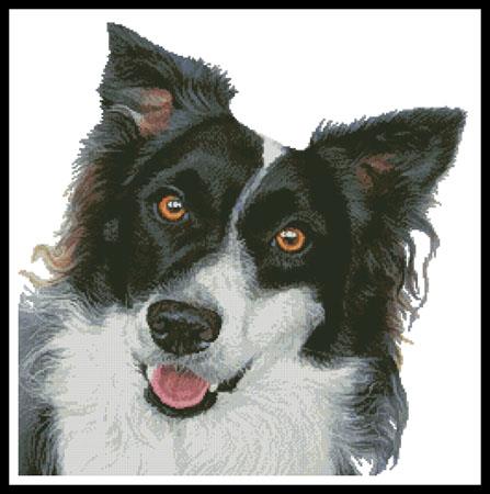 Border Collie Painting - Artecy Cross Stitch