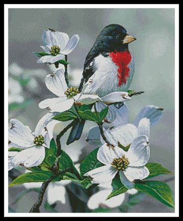 Springtime Grosbeak - Artecy Cross Stitch