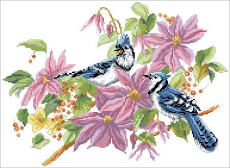 Blue Jays And Clematis - Kooler Design Studio