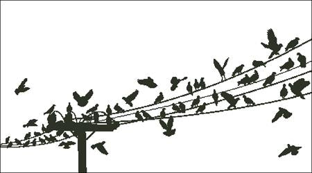 Birds On A Wire - Charting Creations
