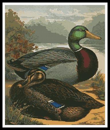 Ducks 2 - Artecy Cross Stitch