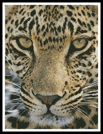 Leopard Close Up - Artecy Cross Stitch