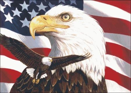 Eagle And Flag - Charting Creations