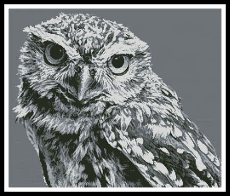 Black And White Owl - Artecy Cross Stitch