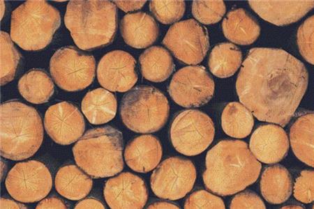 Logs - X Squared Cross Stitch