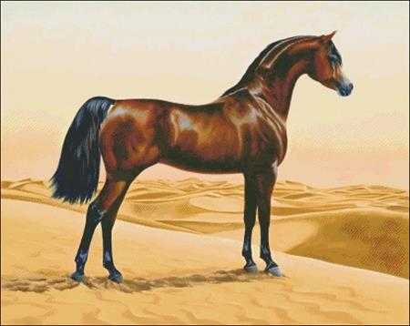 Arab Horse - Charting Creations