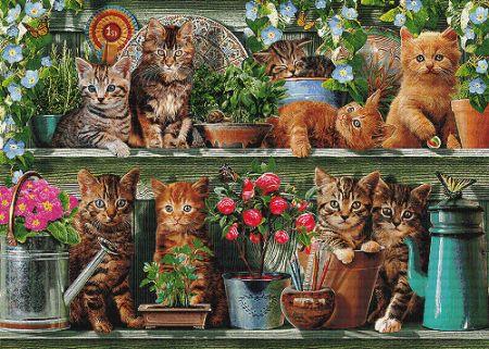 Kitchen Cats by Adrian Chesterman - Paine Free Crafts