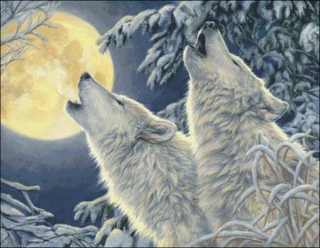 Moonlight - Charting Creations